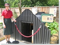 anderson-shelter-victory-garden