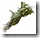 180px-Bouquet_garni_p1150476_extracted