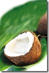 coconut on the leaf