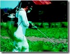 spraying-crops