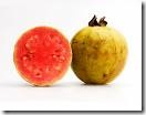 guava