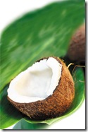 coconut on the leaf