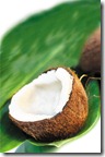 coconut on the leaf