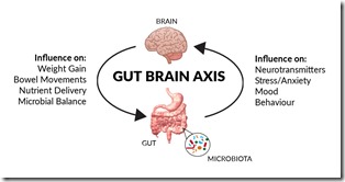 gut-brain-axis