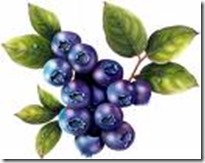 blueberries 3